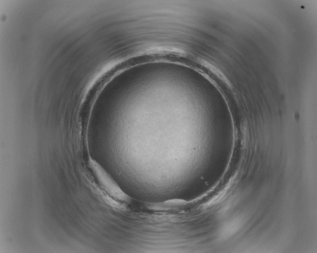 X0000066091021200603171050