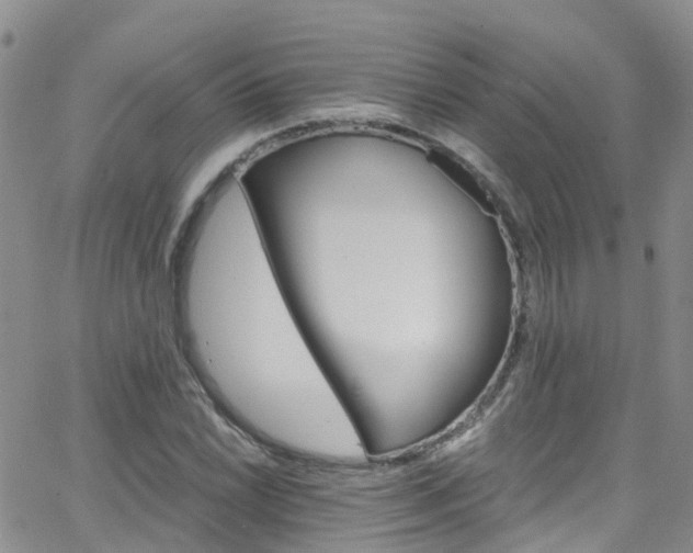 X0000066091022200603171050