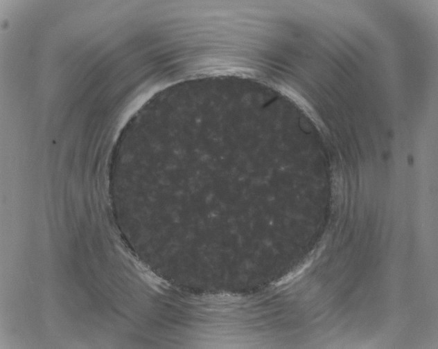 X0000066091023200603171050