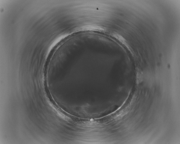 X0000066091024200603171050