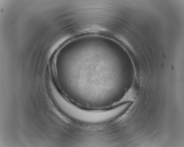 X0000066091026200603171050