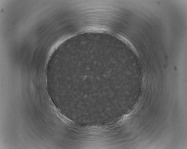 X0000066091027200603171050