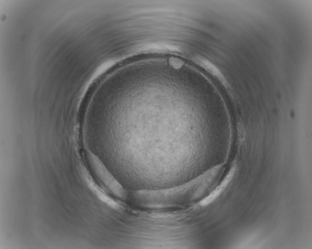 X0000066091029200603171050