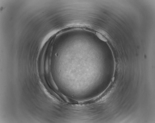 X0000066091030200603171050