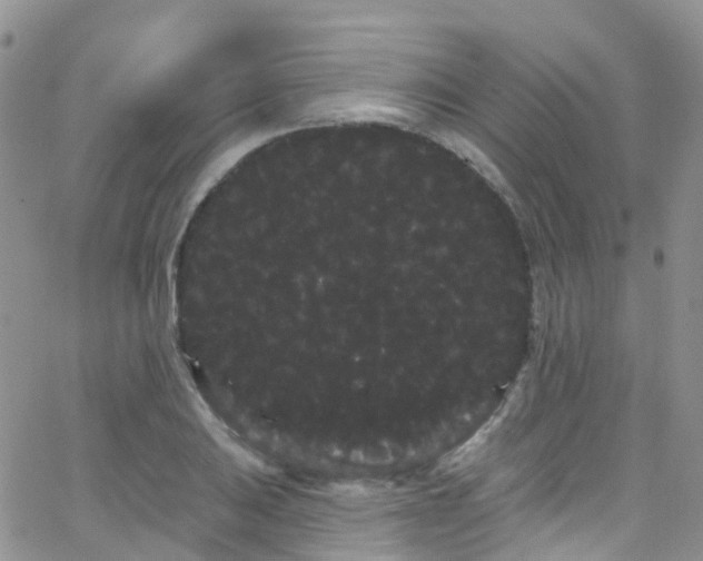 X0000066091031200603171050