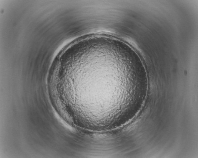 X0000066091032200603171050