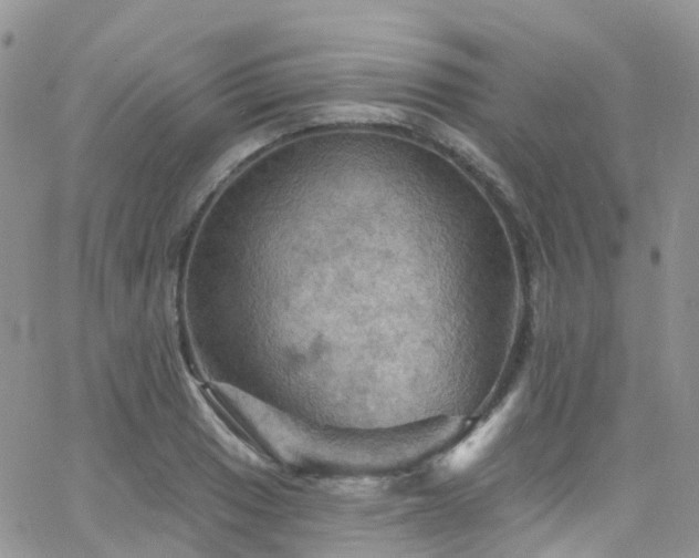 X0000066091033200603171050