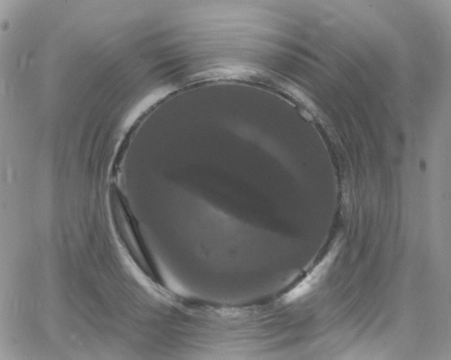 X0000066091034200603171050