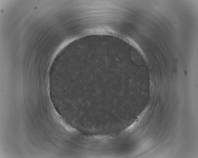 X0000066091035200603171050