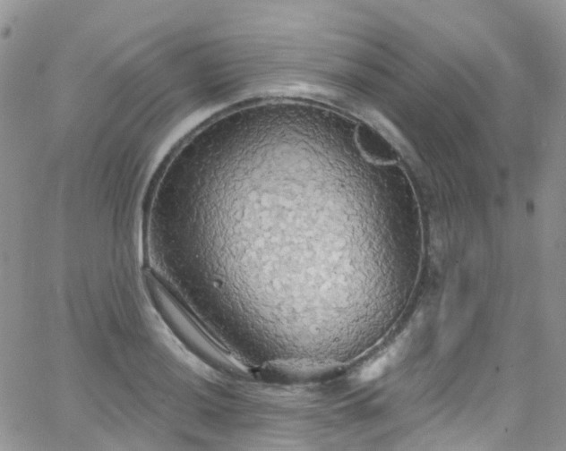 X0000066091036200603171050