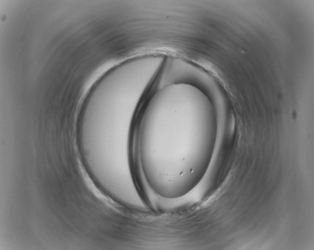 X0000066091038200603171050