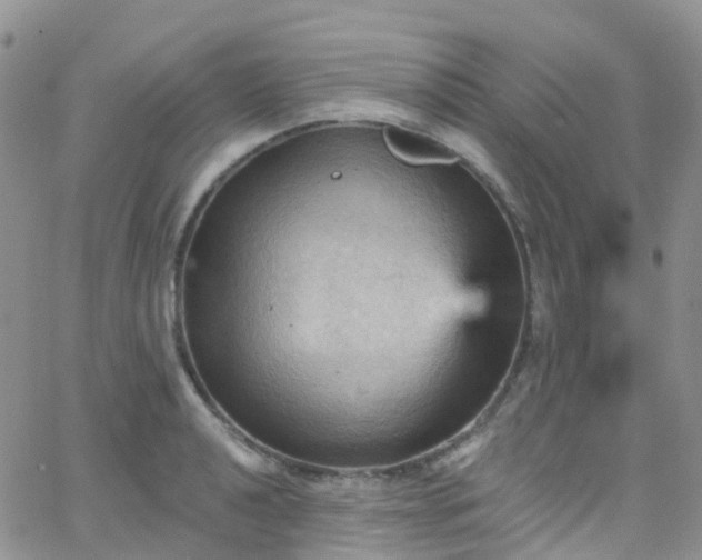 X0000066091040200603171050