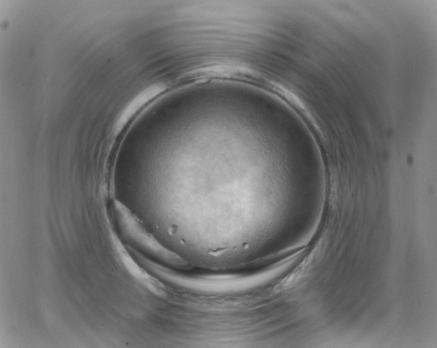 X0000066091042200603171050