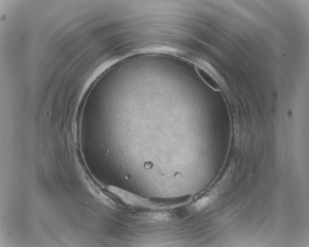 X0000066091044200603171050