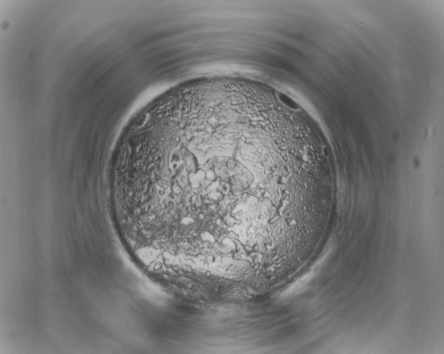 X0000066091045200603171050