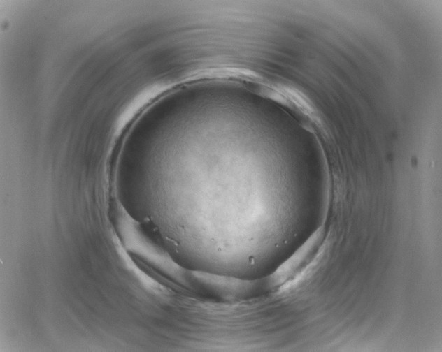 X0000066091046200603171050