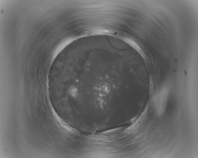 X0000066091047200603171050