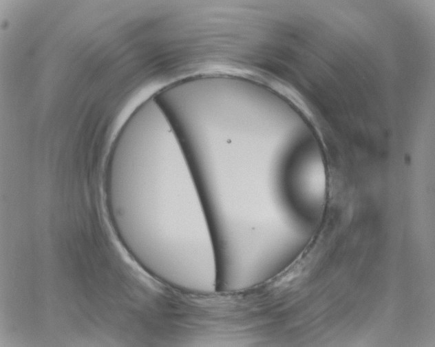 X0000066091048200603171050