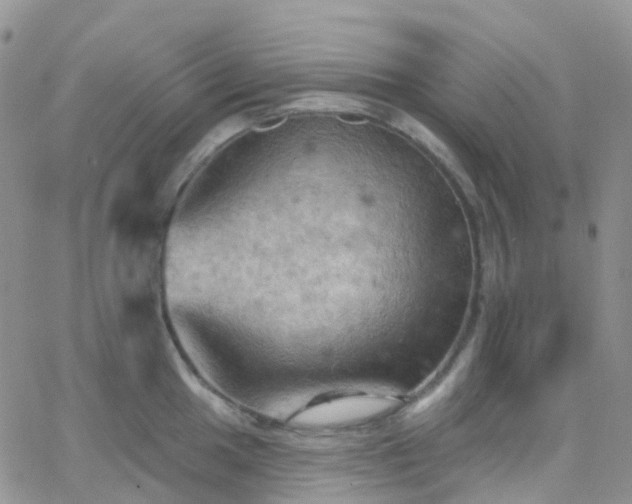 X0000066091049200603171050