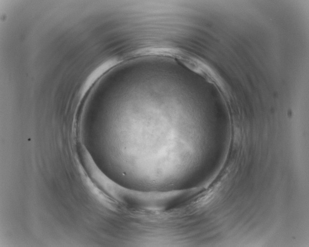 X0000066091050200603171050