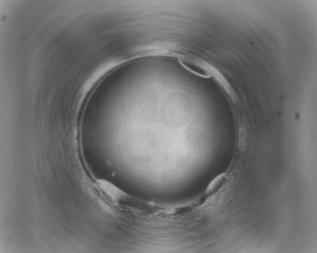 X0000066091051200603171050