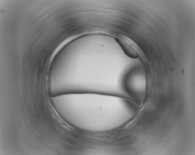 X0000066091052200603171050