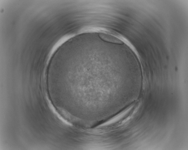 X0000066091053200603171050