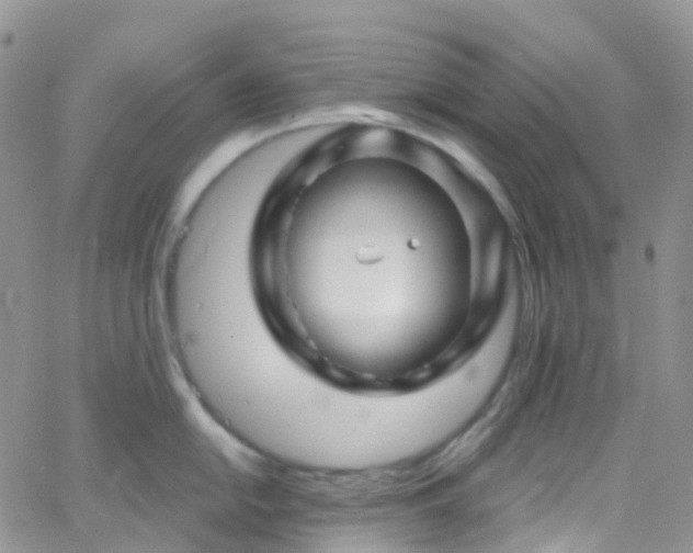 X0000066091054200603171050