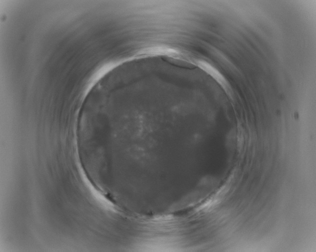 X0000066091055200603171050