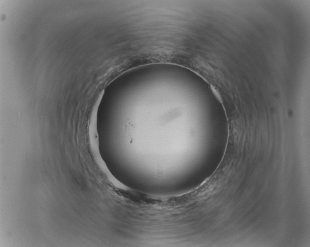 X0000066091057200603171050