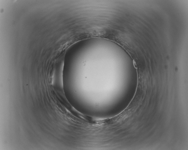 X0000066091058200603171050