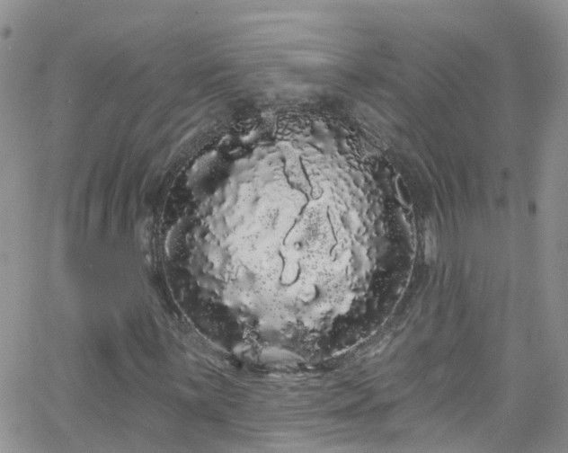 X0000066091059200603171050