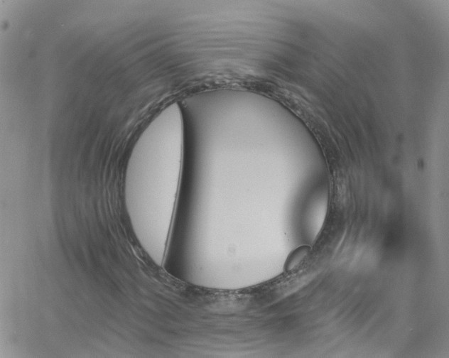 X0000066091060200603171050