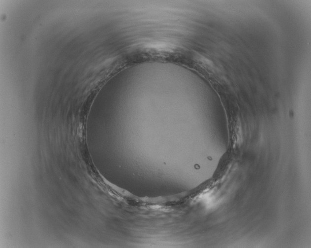 X0000066091061200603171050