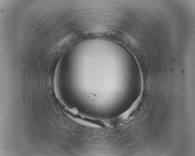 X0000066091062200603171050