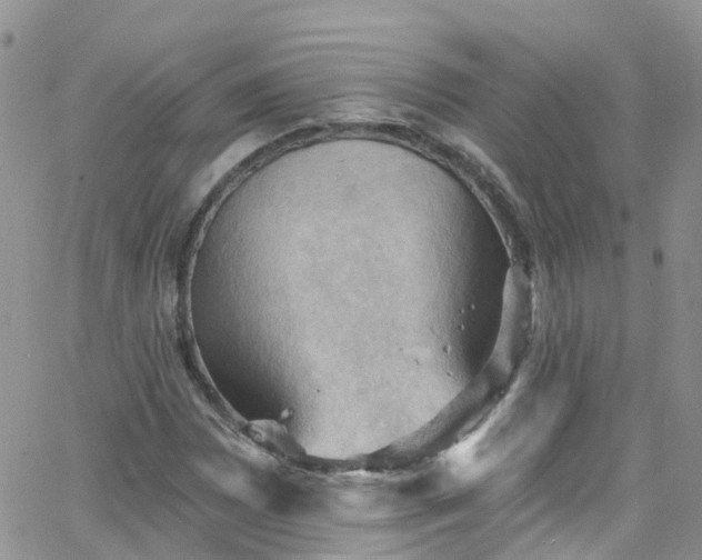 X0000066091065200603171050