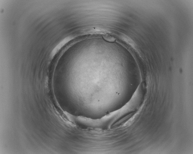 X0000066091066200603171050