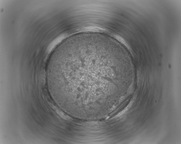 X0000066091067200603171050