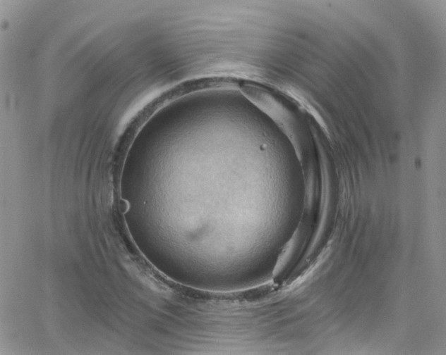 X0000066091069200603171050