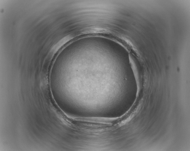 X0000066091073200603171049