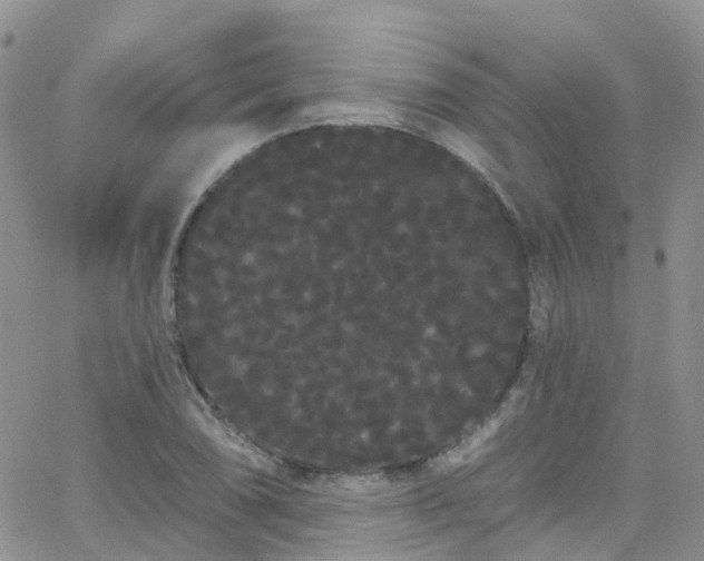 X0000066091074200603171049