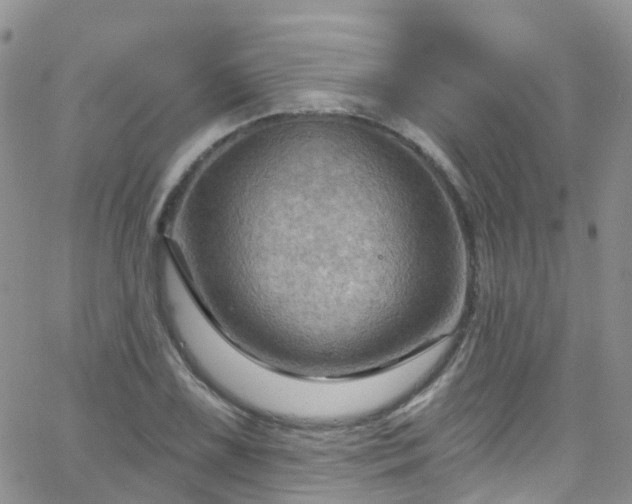 X0000066091075200603171049