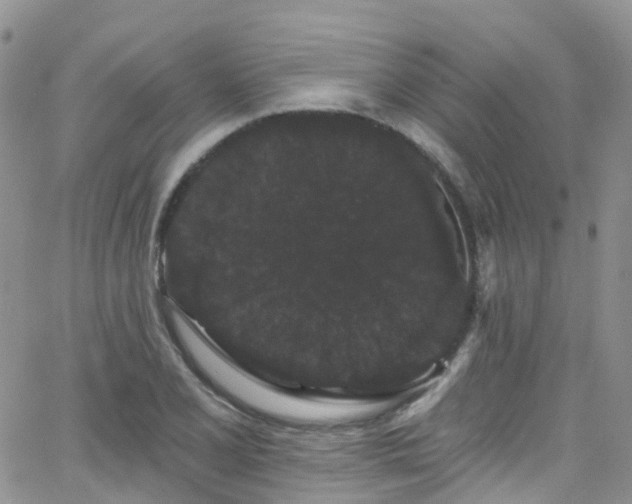 X0000066091077200603171049