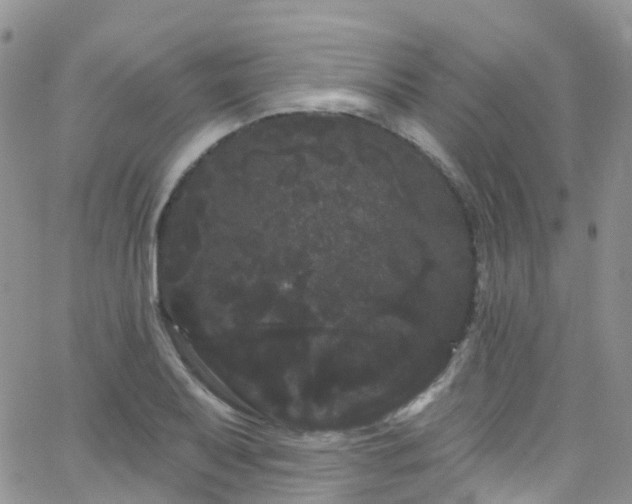 X0000066091079200603171049