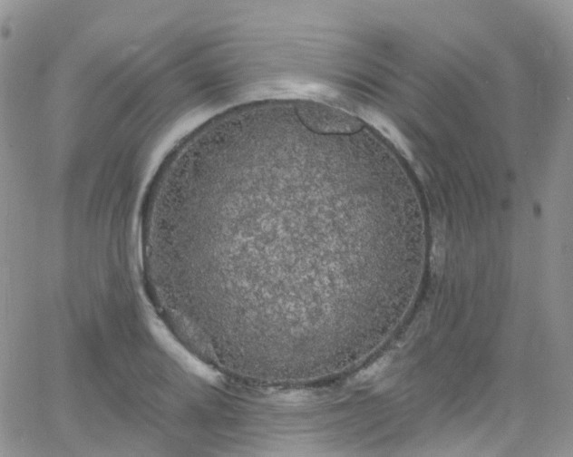 X0000066091080200603171049