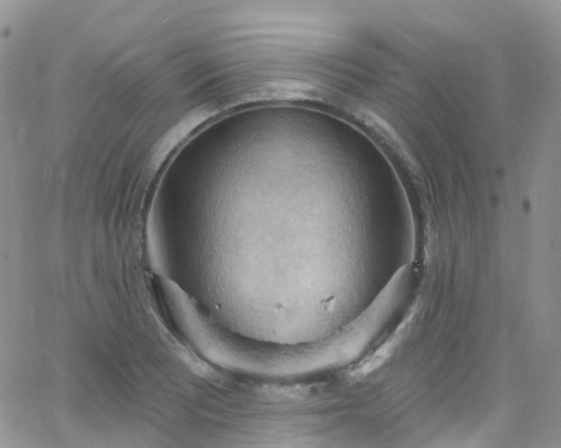 X0000066091081200603171049