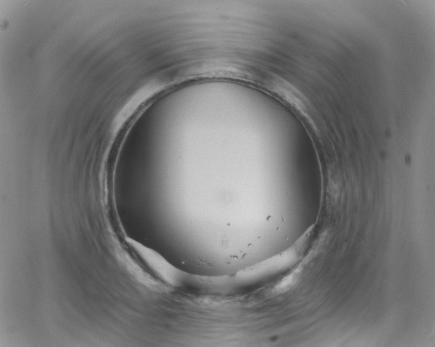 X0000066091082200603171049