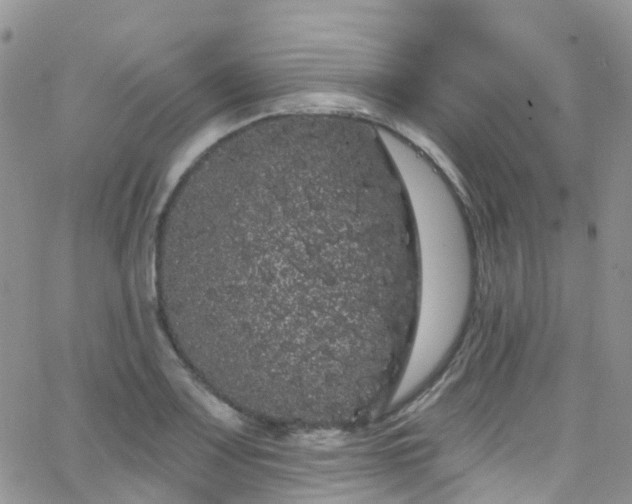 X0000066091083200603171049