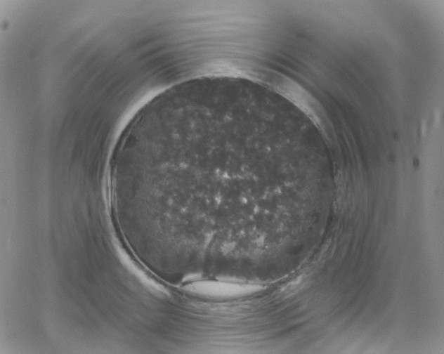 X0000066091084200603171049