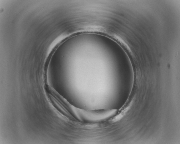 X0000066091085200603171049